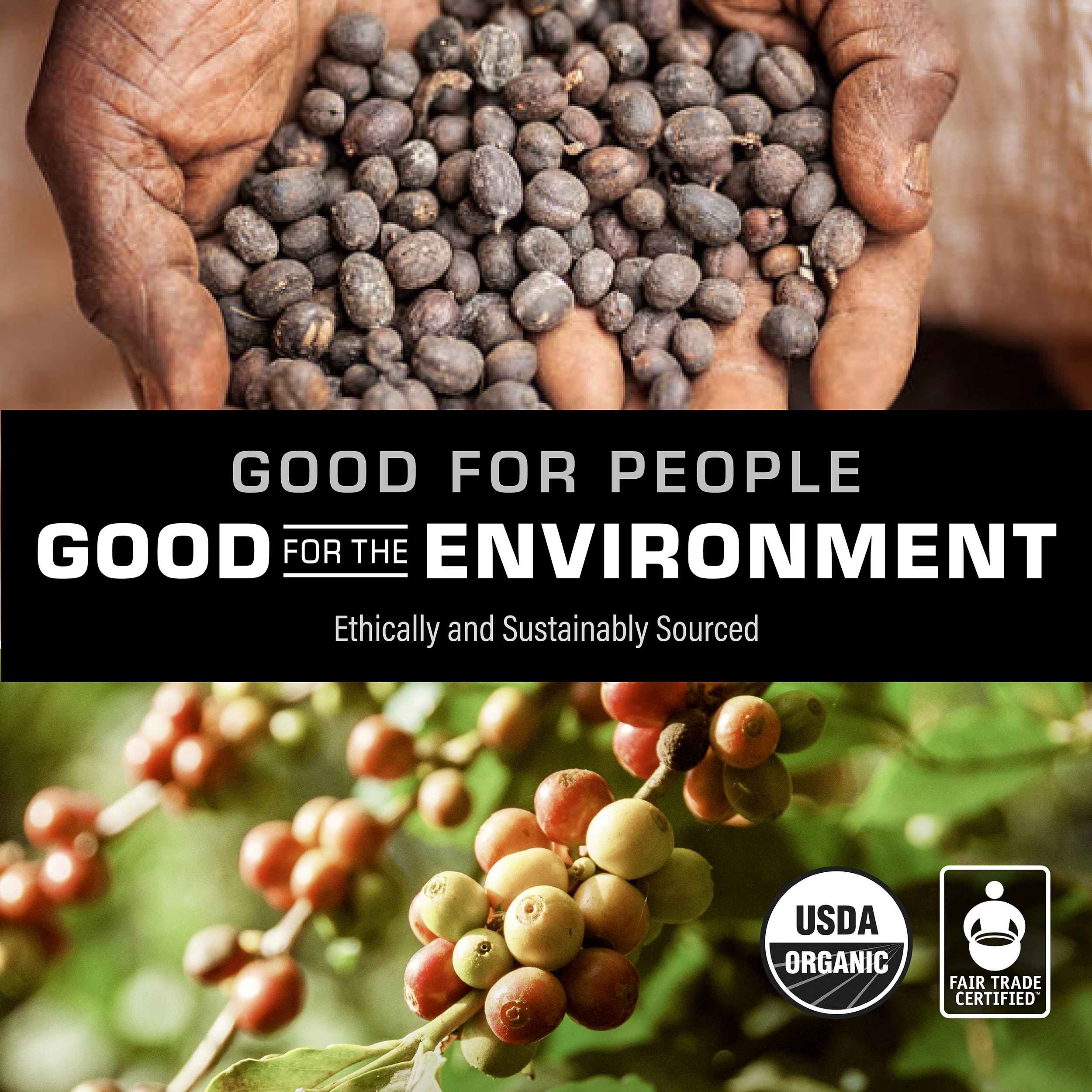 Coletti_Infographics_Wake_2021_v9_GP